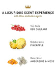 Cremo Rich-Lathering Golden Amber Body Wash for Men, Notes of Red Currant, Pineapple, Ambergris and Moss, 16 Fl Oz
