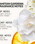 Pacifica Beauty, Wanderlust Spray Perfume Trial Set, Island Vanilla, 5 Scents, Fragrance Sampler Gift Set, Natural & Essential Oils, Clean, Vegan & Cruelty Free