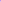 purple tree Post-Celebration Wellness Vitamins