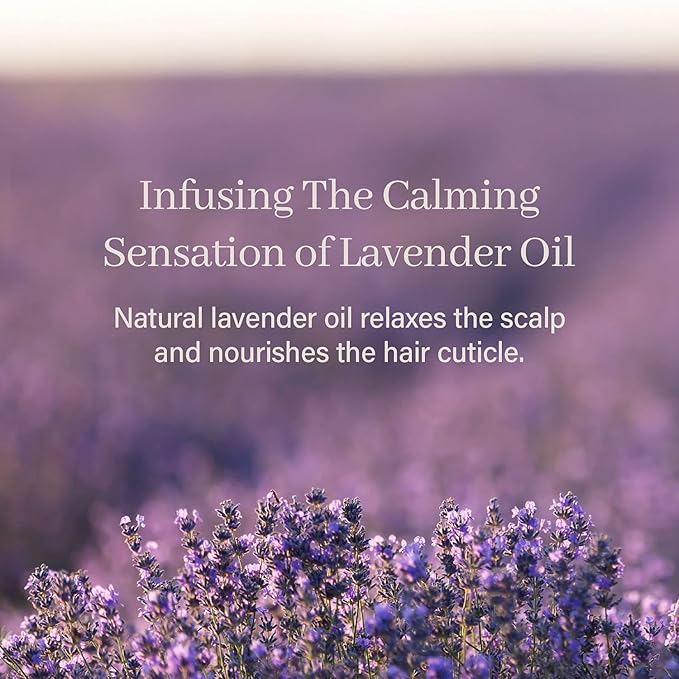 ARENCIA Bora Bora Dream Shampoo Bar - Volumizing, Color Protecting for Curly and All Hair Types - Vegan, pH Balanced, Sulfate-Free, Eco-Friendly