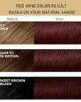 Instant Herbal Red Hair Color Shampoo - 3 in 1 Long-Lasting Hair Dye for Women and Men, 16.90 Fl Oz (Red Wine)
