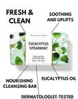 Bath and Body Works Eucalyptus Spearmint Shea Butter (5 oz / 141 g) Cleansing Bar