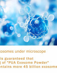 Japan's New Exosome Revolution Deeper Absorption Premium PUA Exosome Firmer Radiant Skin, at-Home Treatment with Collagen Peptides Hyaluronic Acid