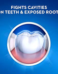 Crest Fluoride Cavity Protection Toothpaste 8.2 Ounce Regular Paste, Bulk Toothpaste, Prevents Cavities Before They Start (8 Pack)