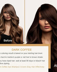 Dark Coffee Hair Dye Shampoo, Hair Color Shampoo for Gray Hair, Brown Hair Dye, Brown Hair Shampoo, Champu Para Canas, Long Lasting Natural Color, Easy to Use, 16.90 Fl Oz