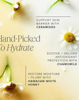 Farmacy Hydrating Essence - Hydrating Honey Milk Toner + Facial Essence to Soothe, Moisturize and Strengthen Skin Barrier - Preps Complexion for Skincare Products or Makeup Application (120ml)