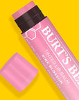 Burt's Bees Lip Tint Balm