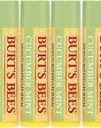 Burt's Bees 100% Natural Origin Moisturizing