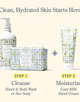 Beekman 1802 Glacial Mint & Eucalyptus Hand Cream - 2 oz - Scented - Nourishes, Hydrates & Repairs - With Goat Milk, Shea Butter & Glycerin - Non-Greasy - No Irritation - Good for Sensitive Skin