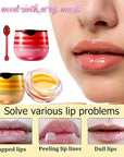 Bee Lip Balm Honey Pot,Honey Lip Exfoliator