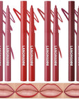 LANGMANNI 4Pcs Sculpting Matte Velvet Lip Liner Set,Smooth Creamy Texture,Waterproof And High Pigmented For Girls Daily Application Lip Makeup(9+10+11+12)