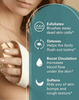Firm Dry Brush & Shower Brush for Body - Handheld Back Scrubber Body Brush Exfoliator & Dead Skin Remover for Body Firm & Tighten Skin Improve Circulation for Men & Women by M3 Naturals