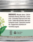 Banyan Botanicals Mint Cardamom Tooth Powder – Ayurvedic Fluoride-Free Toothpaste Alternative with Miswak & Activated Charcoal (from Amla) – 0.75oz, 80+ Uses – Non GMO Sustainably Sourced Vegan