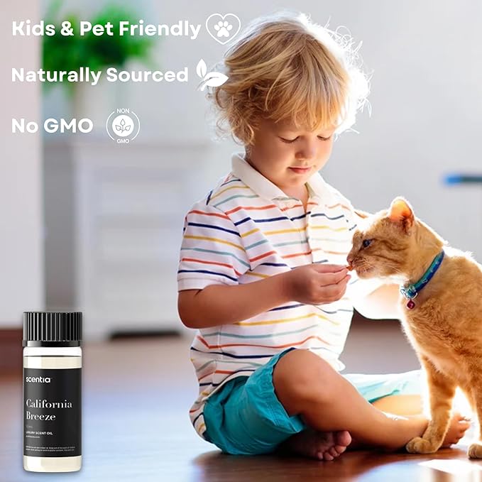 Scentia Hotel Diffuser Oil Inspired by The Delano Beach Club Hotel Scent - 50 mL 1.69 fl oz - Fragrance Oil Blend Orange, Green Tea for Aromatherapy Diffusers - California Breeze, Thanksgiving Gift