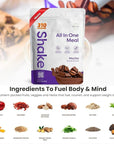 310 Nutrition All-In-One Meal Replacement Shake Powder - Plant-Based Protein Smoothie Blend w/High Fiber, Probiotics & Adaptogens - Low Carb, Vegan, Keto & Paleo Friendly - Mocha - 14 Srv