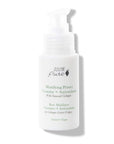 100% PURE Mattifying Face Primer Plumping Makeup Base & Moisturizer with Anti-Aging Seaweed Collagen - Long-Lasting Matte Pore Diminishing Cosmetics Prep, Flawless Smooth Skin Hydration - 1 oz