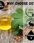 Naturevibe Botanicals Fenugreek Oil 32 Ounces | 100% Pure and Natural | Great for Skin Care and Hair Care