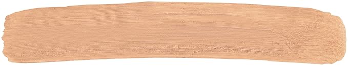 Bodyography Pro Perfect Foundation Stick - Demi-Matte Finish E (Sand)
