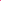 Beautyblender® | Papaya Beauty Blender