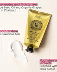 Panier des Sens - Hand Cream for Dry Cracked Hands - Grape Hand Lotion with Shea Butter & Grape Seed Oil - Vitamin E Skin Moisturizer with 97% Natural Ingredients - Made in France, 2.5 fl oz