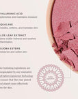 Wander Beauty Hydrating Powder Blush - Lightweight, Rose Blush Makeup with a Blurring, Satin Finish - Buildable Formula with Hyaluronic Acid, Squalane & Aloe Leaf Extract - Are We Bare Yet - 0.18 oz