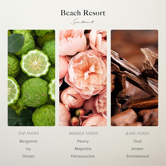 Scentiment Diffuser Oil - Beach Resort | Aromatherapy Fragrance Inspired by 5-Star Hotels | Luxurious Scent with Notes of Bergamot, Ocean, Peony with Amber & Sandalwood (500 mL)