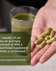 Standard Process SP Cleanse - Whole Food Gallbladder Cleanse, Liver Cleanse, Kidney Support, Digestion and Toxin Cleanse with Collinsonia Root, Juniper Berry, Cordyceps Mushroom, and More - 150 Caps