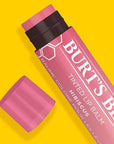 Burt's Bees Lip Tint Balm