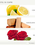 The Magic Scent Hotel Di Capri Hotel Scent Diffuser Oil - Cold-Air & Ultrasonic Fragrance Oil for Diffuser - HVAC scents Inspired by Capri, Italy - Essential Oils for Diffusers - 8.5 fl oz, 250 mL