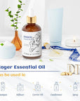 HIQILI 1 Fl Oz Ginger Oil, 100% Pure Natural Ginger Essential Oil for Hair, Massage, Skin - 30ml