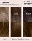 Clairol ColorStrong Permanent Zero Ammonia Hair Dye, 6.3 Light Golden Brown - Cairo Hair Color, Pack of 1