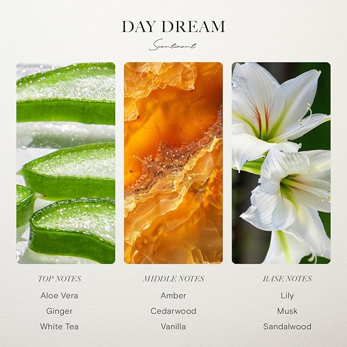 Scentiment Diffuser Oil - Day Dream | Inspired by Westin® Hotel White Tea Scent | Aromatherapy Home Fragrance| Luxurious Scent with Notes of Aloe Vera, Cedar, White Tea (500 mL)