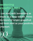 EO Shower Gel Body Wash, 16 Ounce (Pack of 2), Grapefruit and Mint, Organic Plant-Based Skin Conditioning Cleanser with Pure Essentials Oils