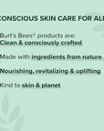 Burt’s Bees 100% Natural Mattifying Powder Foundation, Bare 0.3 Ounce