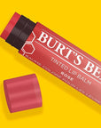 Burt's Bees Lip Tint Balm