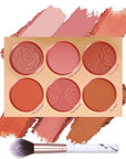 Matte Face Blush Palette with Brush-6 Color High Pigment Silky Mineral Blendable Blusher Contour Powder for Cheeks,Longlasting Facial Beauty Cosmetic,Mother's Day Makeup Gift for Women Girl-Set 02