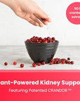 Kidney Cleanse Detox & Repair | 22-In-1 Kidney Health Supplement | Extra Strength 50:1 Cranberry Extract with Bioperine for Increased Absorption | Kidney & Urinary Tract Support & Flush Formula