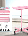 Salon Tray,Hairstylist Trays on Wheels,Hair Color Tray for Salon or Home Use,Pink