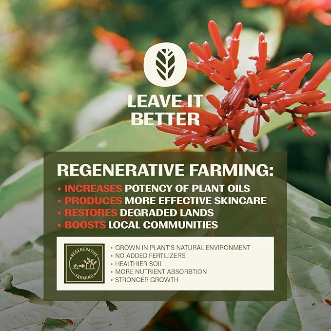 Thrive Natural Care Revive Eye Balm Stick - Under Eye Brightener - Reduces Puffy Eye Bags - Vegan, Made in USA, 0.5 Oz