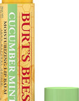 Burt's Bees 100% Natural Origin Moisturizing