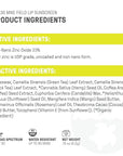 Raw Elements Mike Field Lip Sunscreen - SPF 30, UVA-UVB Protection, Reef-Safe, Non-Nano Zinc, Water Resistant, 0.15 oz (2 Pack)