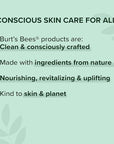 Burt's Bees 100% Natural Moisturizing Gloss Lip Crayon, Santorini Sunrise - 1 Crayon