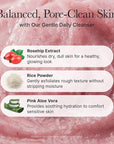Fresh Rosehip Rice Mochi Cleanser