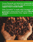 CocoaVia Heart & Brain Supplement, 30 Day, Cocoa Flavanol Extract, Memory & Circulation Booster, Nitric Oxide, Boost Oxygen & Energy, Plant Based, Gluten Free, Vegan, 60 Capsules