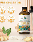 EVOKE OCCU 100% Pure Ginger Oil, Natural Ginger Essential Oil for Massage, Diffuser, Hair, Skin, DIY - 4 Fl Oz
