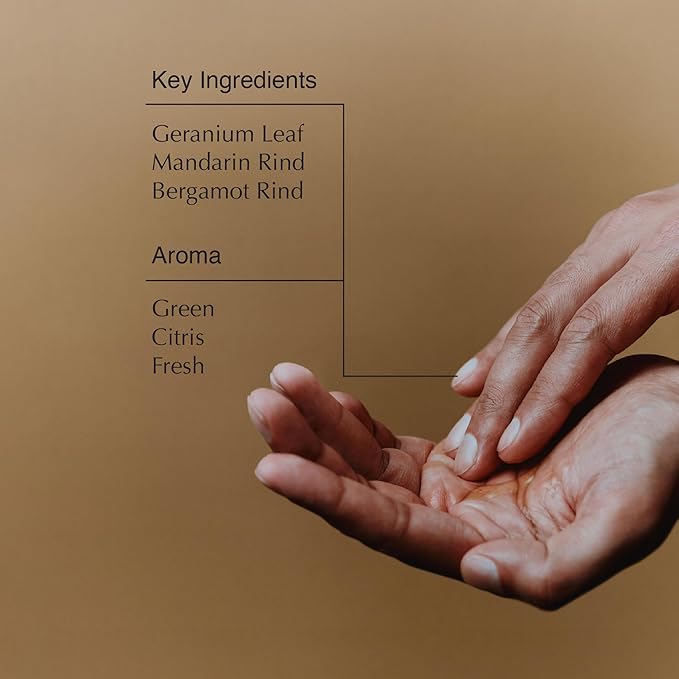 Aesop Geranium Leaf Body Cleanser - Invigorating Gentle 16.9 fl oz