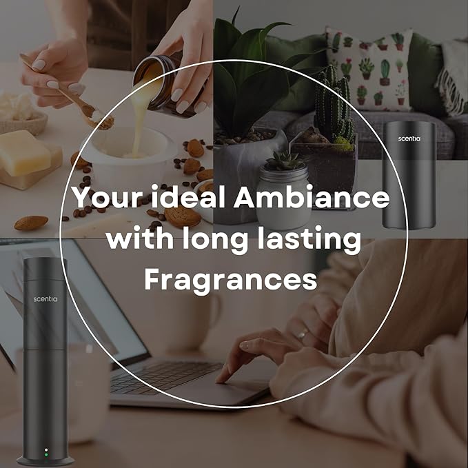 Scentia My Way Hotel Diffuser Oil Inspired by The 1 Hotel Miami Beach- 50 ml 1.69 fl oz - Essential Oil Blend Sandalwood, Cedar & Lemon Notes for Aromatherapy Diffusers Humidifiers, Thanksgiving Gift