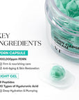 VT COSMETICS PDRN Capsule Cream 100, Hydrating Face Moisturizer with 100,000ppm PDRN, Hyaluronic Acid, 9 Peptides, Firming & Plumping Nourishing Cream, Korean Skin Care (1.69 fl. oz.)