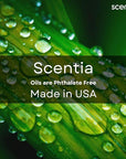 Scentia Noir Mystique – Hotel-Inspired Diffuser Oil, 120ml (0.67 fl oz) | Essential Oil Blend of Rose, Bergamot, Lemon & Musk | Luxury Aroma for Aromatherapy Diffusers & Humidifiers, Thanksgiving Gift