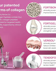 FORTIBONE Premium Bone Health Collagen Peptides w/FORTIGEL, VERISOL, TENDOFORTE | Clinically-Supported for Bones Joints Skin Hair Nails | Hydrolyzed Collagen Complete Anti-Aging Formula | 6 Pack